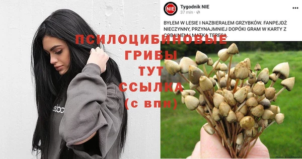 первитин Каменногорск