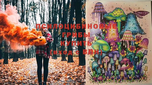 первитин Каменногорск
