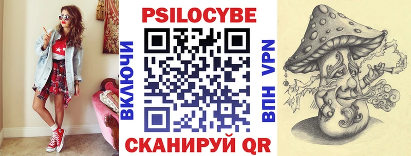 Галлюциногенные грибы Cubensis  Купить  Стародуб 